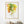 Autumn Birch Art Print